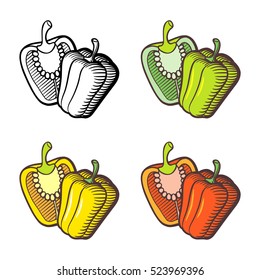 Illustration of bell pepper. Whole and cross section. Red, yellow, green and outline version. Stylized vector illustration, isolated on white