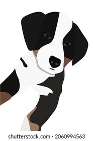 Die Illustration von Berner Sennenhund Welpen einzeln auf Weiß