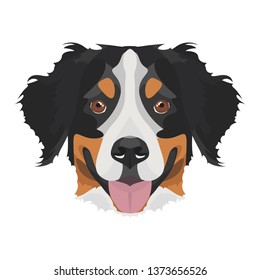 Illustration Bernese Mountain Dog | For all Dog owners. What you love about his dog? Puppy ​​eyes, wagging tail, smiling, barking. The Bernese mountain dog is man's best friend.
