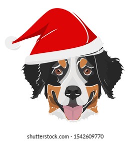 Illustration Bernese mountain dog with red Santa hat 
