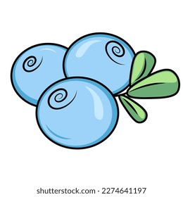 illustration of  berries with green leafs