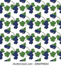 illustration berries and leaves black currant pattern seamless. Vector illustration