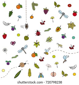 Illustration with berries, leaves and insects.