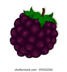Illustration with berry, vector with dewberry