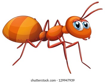 Illustration of a big ant on a white background