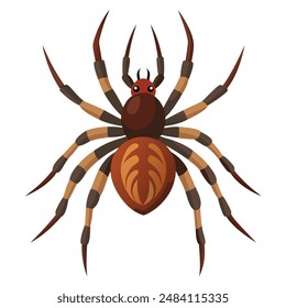 Illustration of big brown spider on white