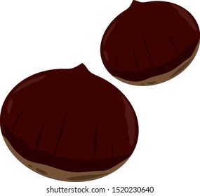 Illustration of a big chestnut.