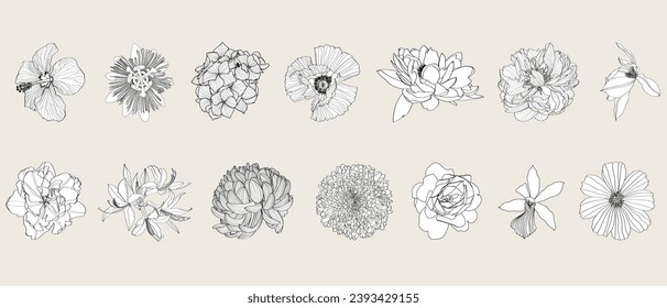 Illustration with big collection of exotic  tropical and garden flowers silhouettes isolated on white background.