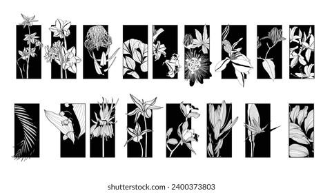 Illustration with big collection of spring and garden flowers frame background. Daisy, liliac, magnolia, anemone and tropical. Decorative element, card, logo, poster.