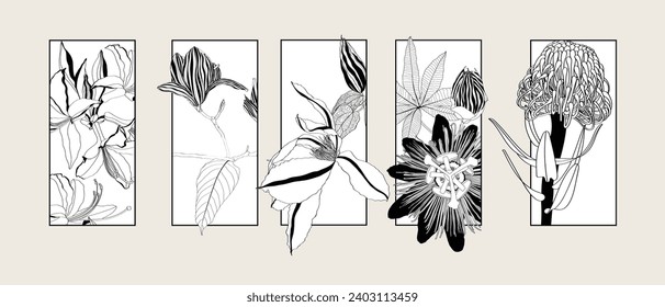 Illustration with big collection of spring and garden flowers frame background. Passiflora, clematis, magnolia, anemone and tropical. Decorative element, card, logo, poster.