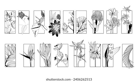 Illustration with big collection of spring and garden flowers frame background. Big set with garden and tropical flowers. Decorative element, card, logo, poster.