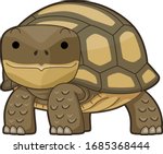 Illustration of a Big Desert Tortoise