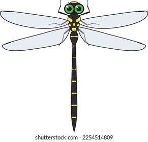 Illustration eines großen Libellen