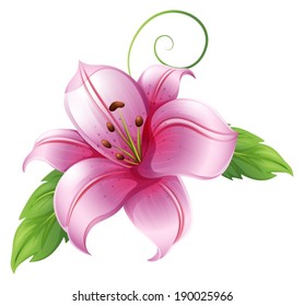 Illustration of a big flower on a white background