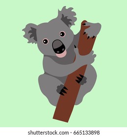 Illustration of big gray sitting cute Australian koalas in vector