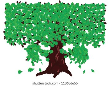 Illustration of big oak tree with fresh green leaves.