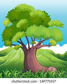 Illustration of a big old tree