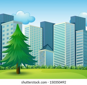 Illustration of a big pine tree growing near the tall buildings