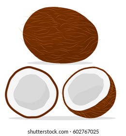 Illustration big set different types coconut nut, half coco various size. Coconut pattern consisting of collection natural half coco nut for organic nutrition. Menu from coconut nut is yummy half coco