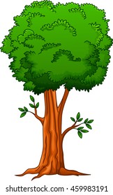 Illustration of a big tree