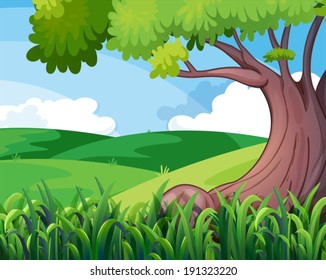 Illustration of a big tree at the hills