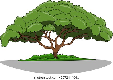 Illustration of a big tree isolated on white. 