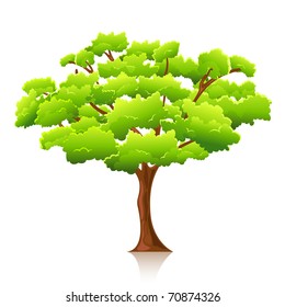 ilustración de árbol grande sobre fondo blanco aislado