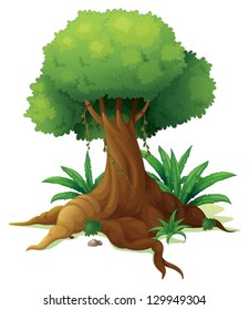 Illustration of a big tree on a white background