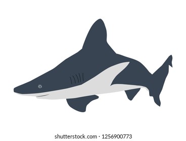 The illustration of Big white shark isolated on the white background.