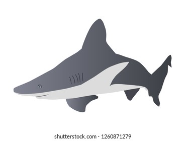 The illustration of Big white shark isolated on the white background in vector.