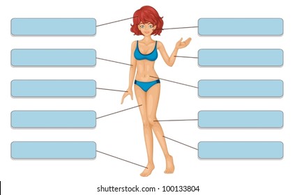Illustration of bikini body parts labels