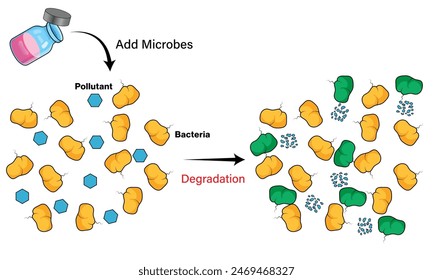 Illustration of Bioaugmentation Technique on White Background Demonstrating Microbial Enhancement in Environmental Remediation.