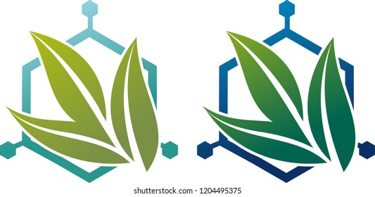 Illustration of biochemical, hexagon with leaves
