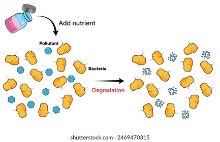 Illustration of Biostimulation Technique on White Background Demonstrating Microbial Activation in Environmental Remediation.