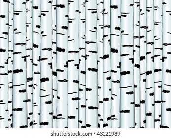 Illustration of the birch trunk background in white and black