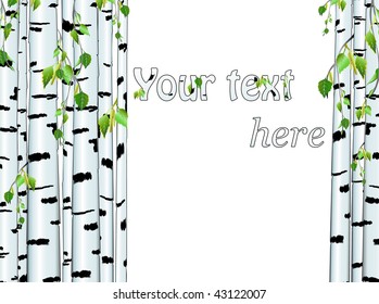 Illustration of the birch trunk frame with copyspace for your text on white