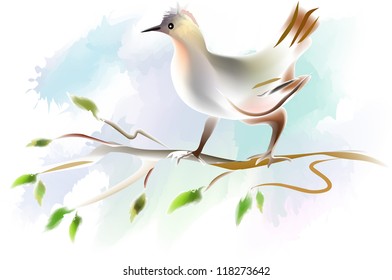 illustration of bird 1