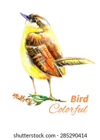 Illustration of a bird