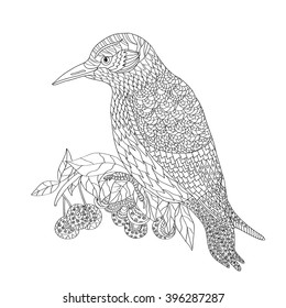 Illustration with bird 
