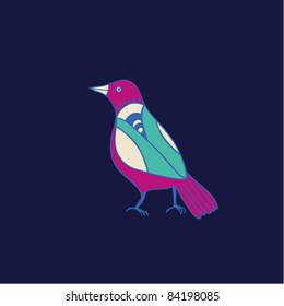 Illustration of the bird