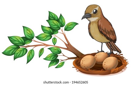 Illustration of a bird at the branch of a tree watching the nest on a white background