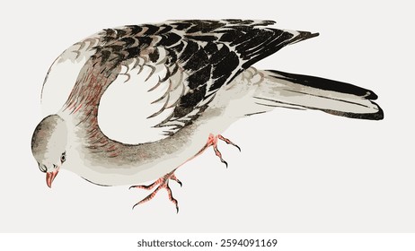 Illustration of a bird with detailed feathers, focusing on wings and tail. The bird's feathers are intricately drawn, showcasing texture and movement. Vintage bird illustration vector.