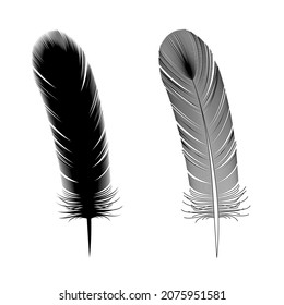 Illustration of bird feathers (fill and line) (white background, vector, cut out)