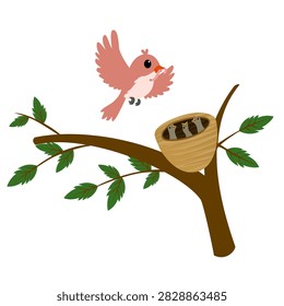 An illustration of a bird feeding its chick in the nest.