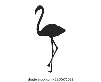 Illustration of bird flamingo silhouette.
