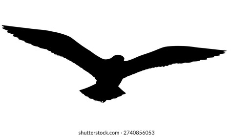 Illustration of a bird in flight with wings spread wide