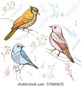 illustration of a bird. hand made background