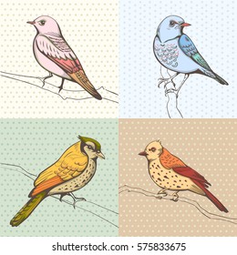 illustration of a bird. hand made background
