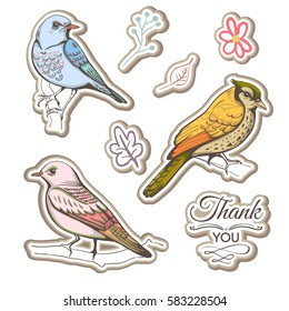 illustration of a bird. hand made background