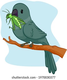 Illustration of a Bird Holding a Grasshopper on Its Beak. Prey Predator Ecological Relationship